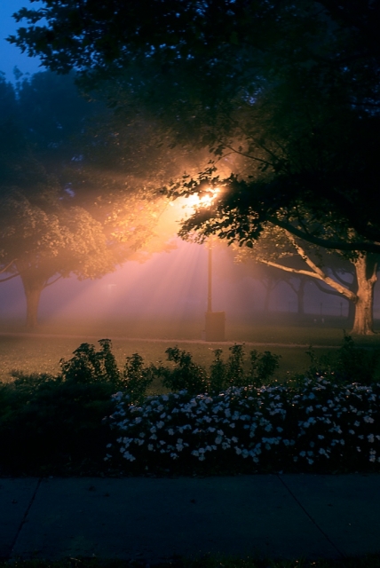 Light rays in the fog
