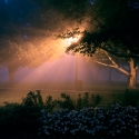 Light rays in the fog