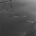 Footprints on the beach