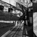 Shadow play